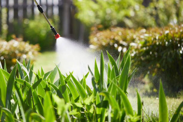 24/7 Emergency Mosquito Control experts in Worthington, IN